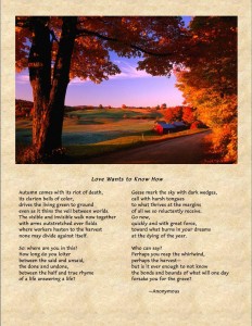 a poem for autumn